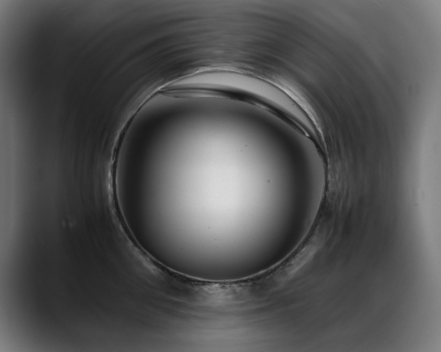 X0000088660906200705251520