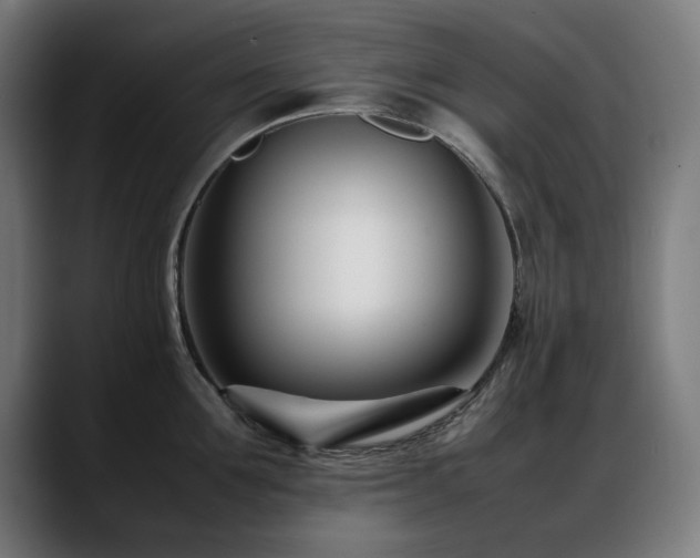 X0000088660907200705251520