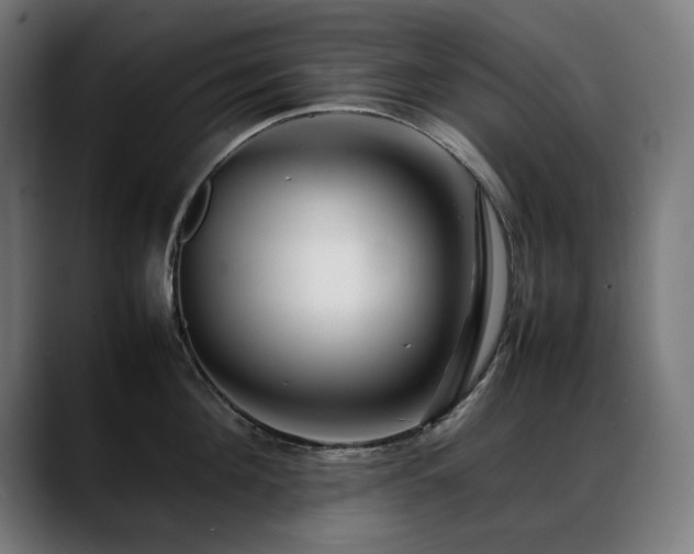 X0000088660908200705251520