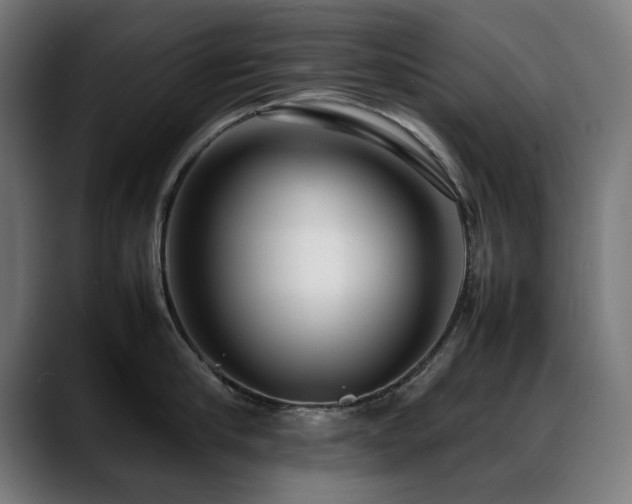 X0000088660910200705251520