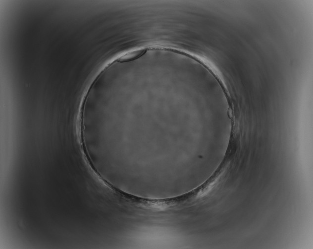 X0000088660911200705251520