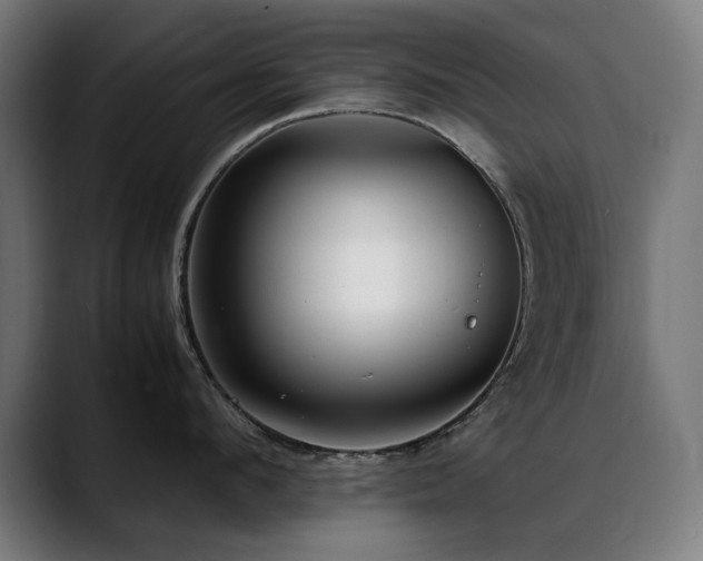 X0000088660912200705251520