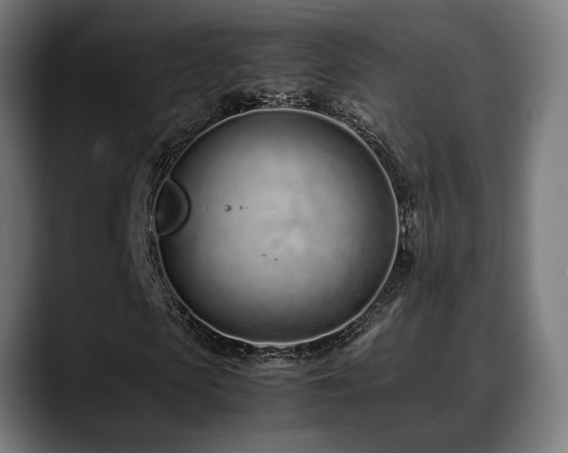 X0000088660913200705251519