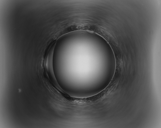 X0000088660914200705251519