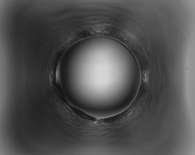 X0000088660915200705251519