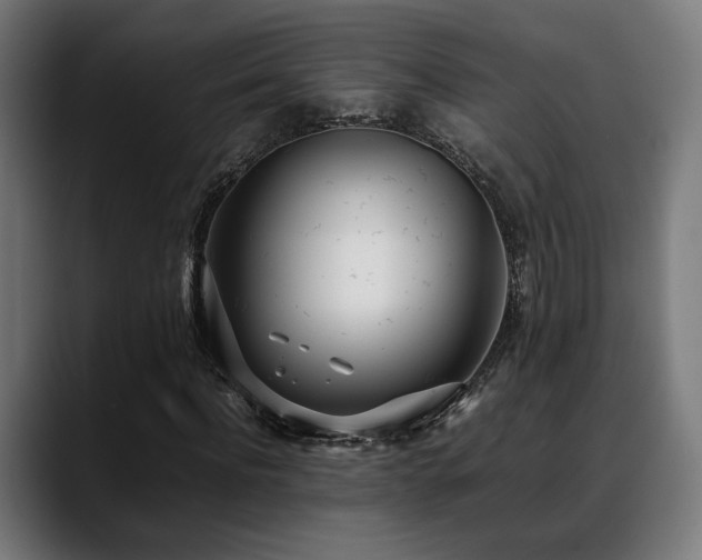 X0000088660916200705251519