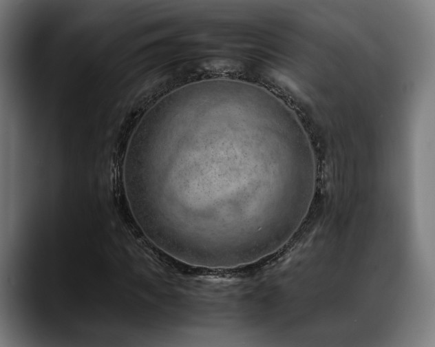 X0000088660917200705251519