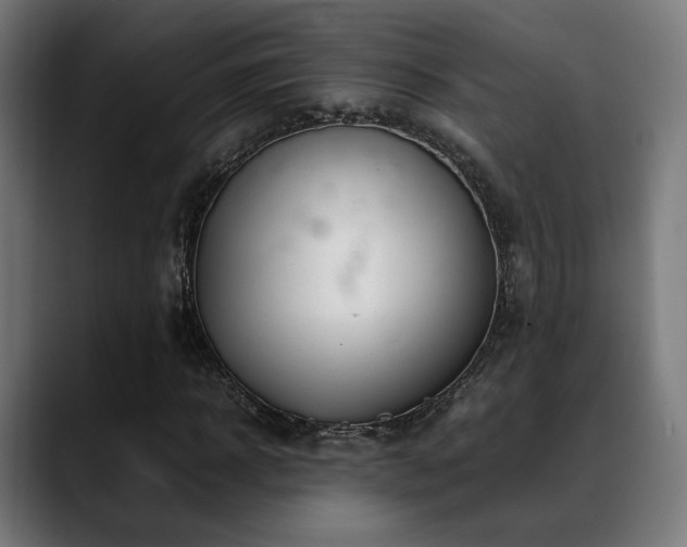 X0000088660918200705251519