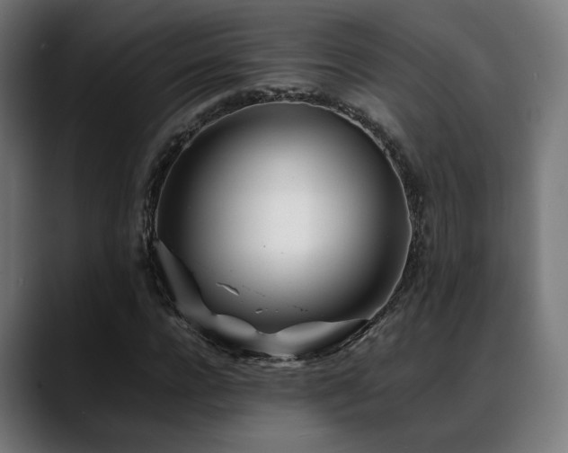 X0000088660920200705251519