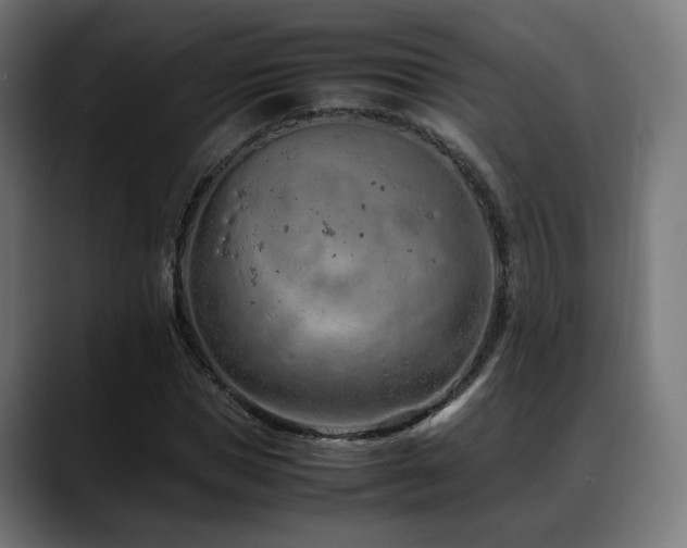 X0000088660921200705251519