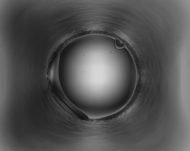 X0000088660922200705251519