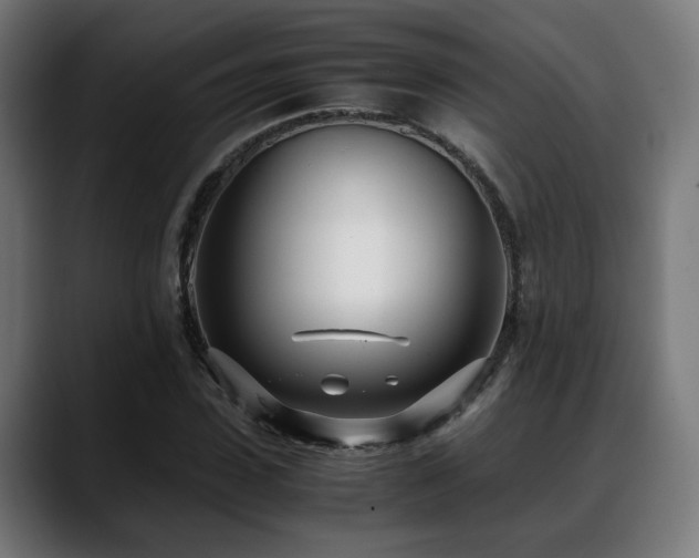 X0000088660923200705251519