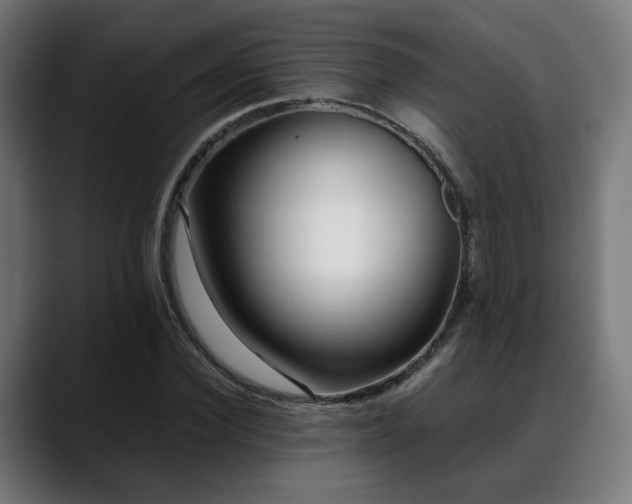 X0000088660924200705251519