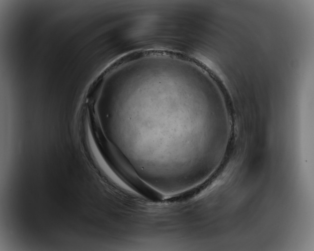 X0000088660925200705251519