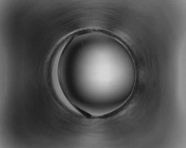 X0000088660926200705251519