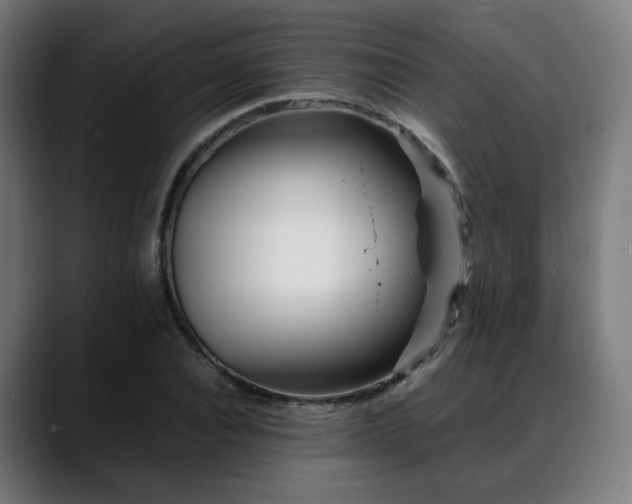 X0000088660928200705251519