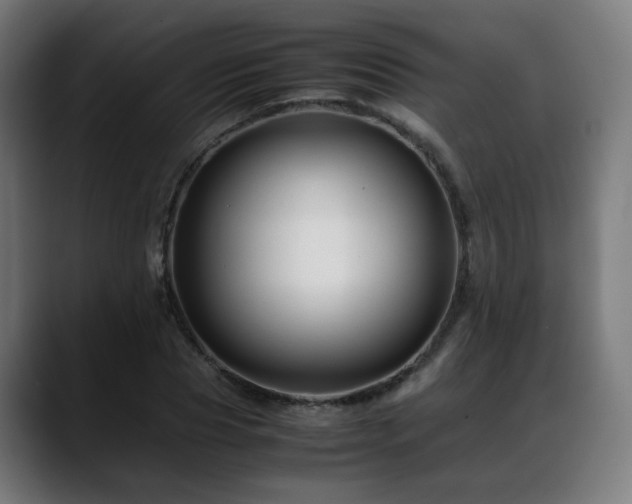 X0000088660929200705251519