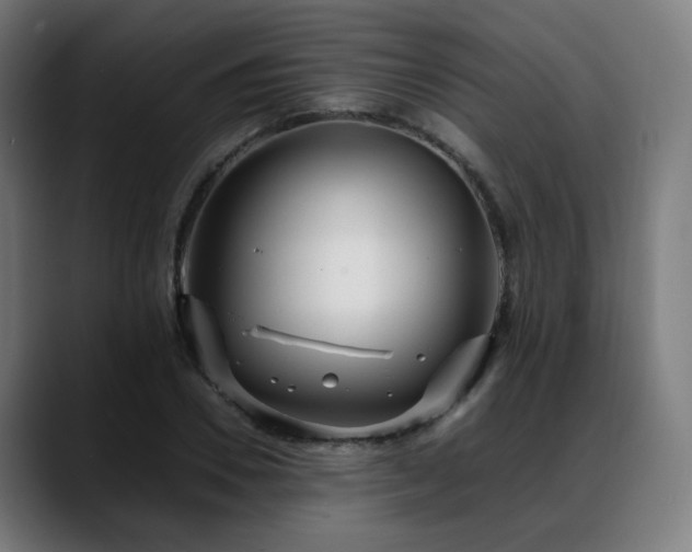 X0000088660930200705251519