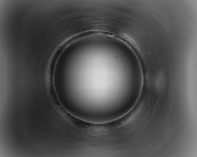 X0000088660931200705251519