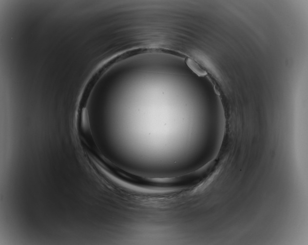 X0000088660932200705251519