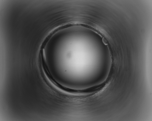 X0000088660934200705251519