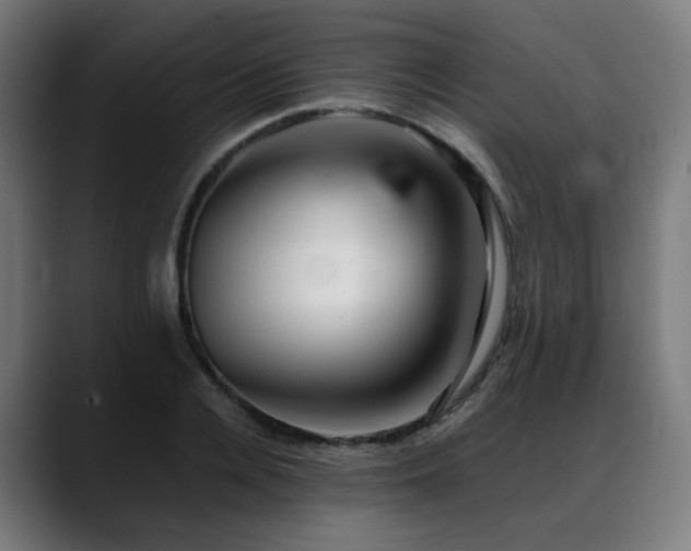 X0000088660936200705251519