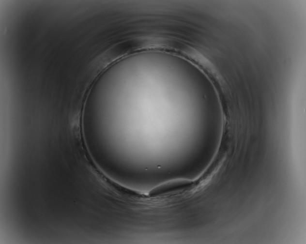 X0000088660937200705251519