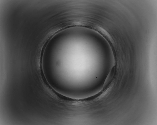 X0000088660938200705251519