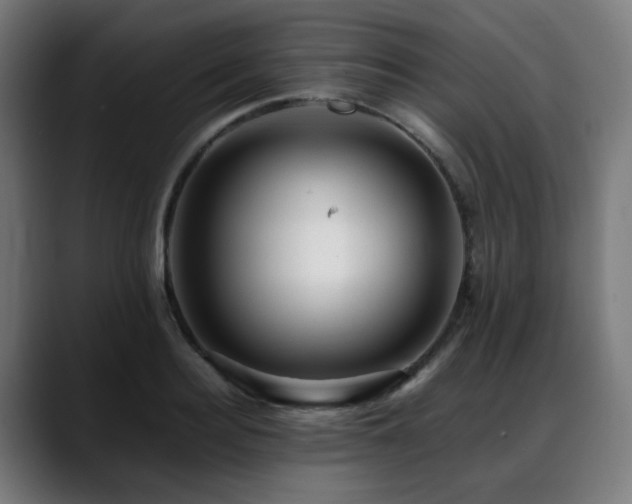 X0000088660940200705251519