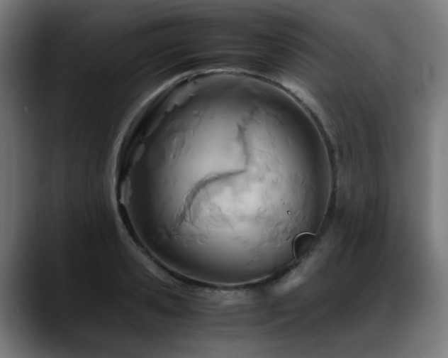 X0000088660941200705251519