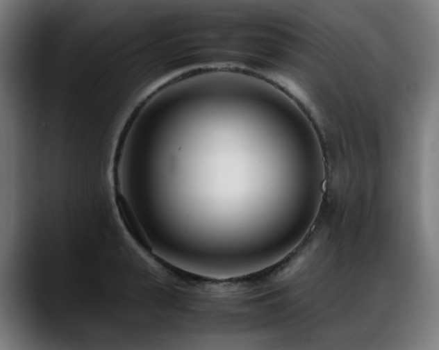 X0000088660943200705251519