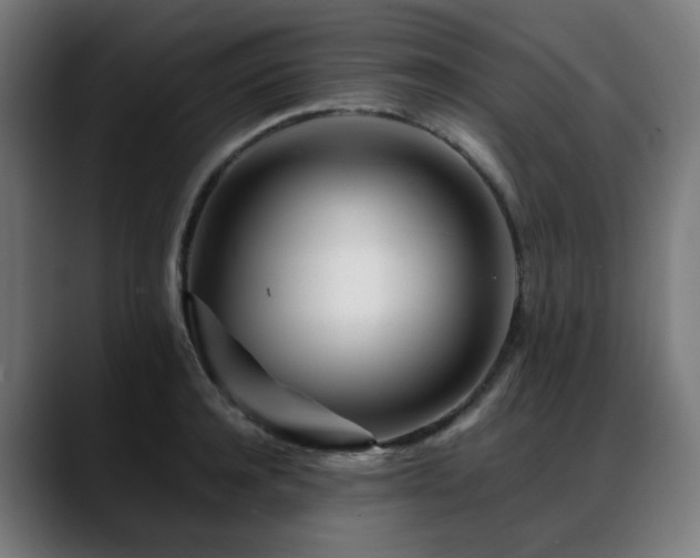 X0000088660944200705251519