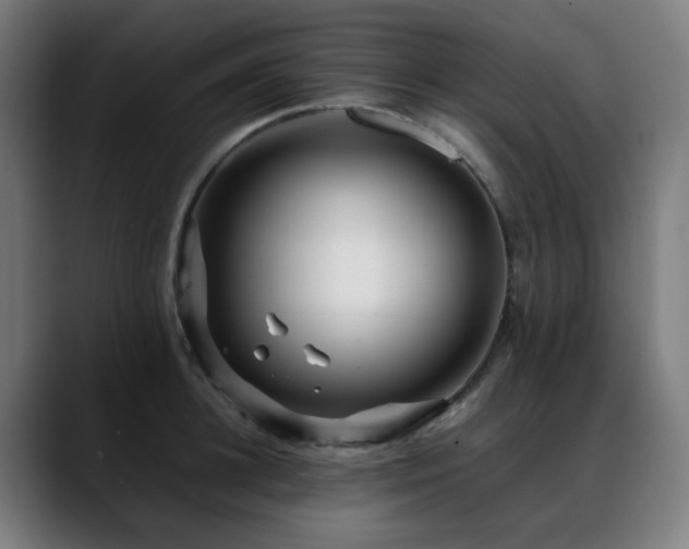 X0000088660948200705251519