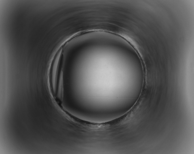 X0000088660949200705251519