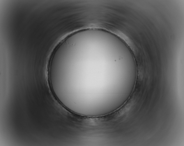 X0000088660950200705251519