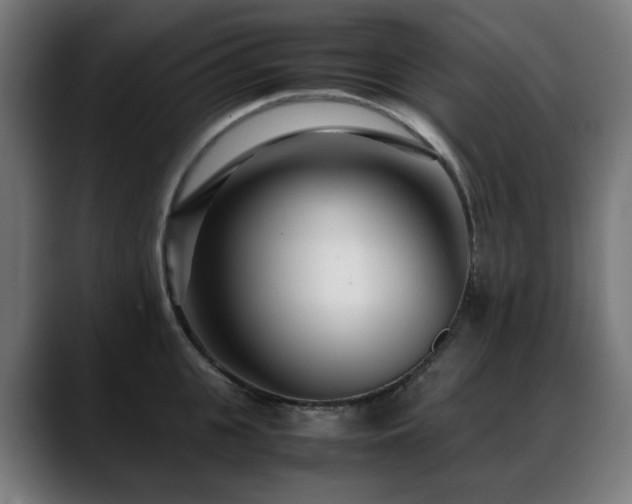 X0000088660951200705251519