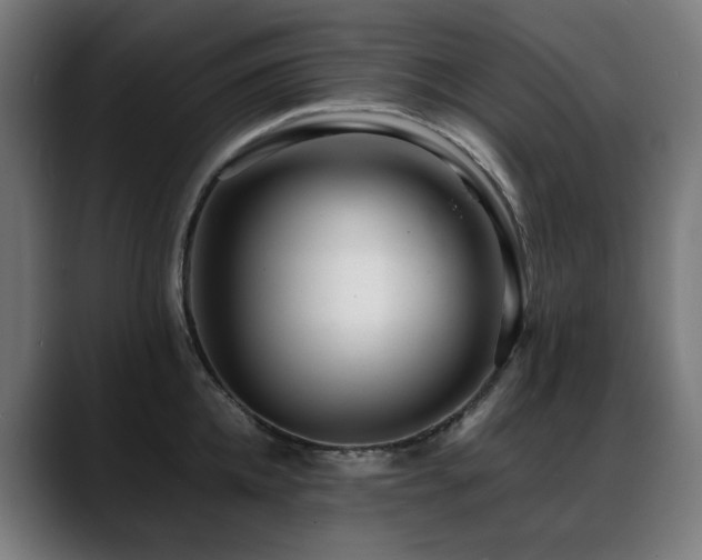 X0000088660952200705251519