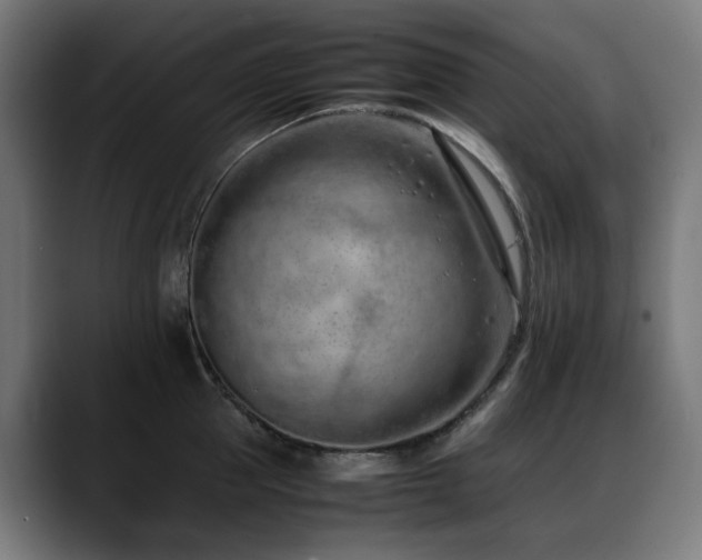 X0000088660953200705251519