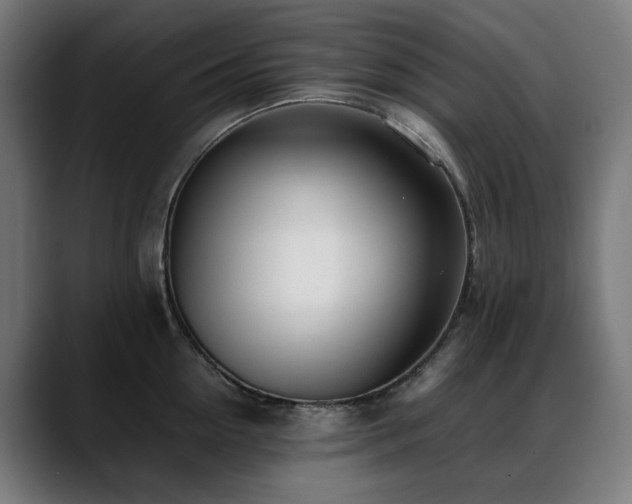 X0000088660954200705251519