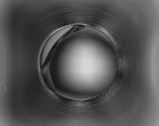 X0000088660955200705251519