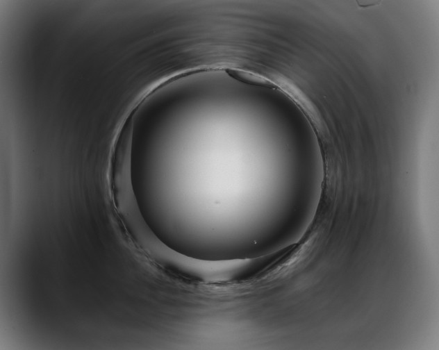 X0000088660956200705251519