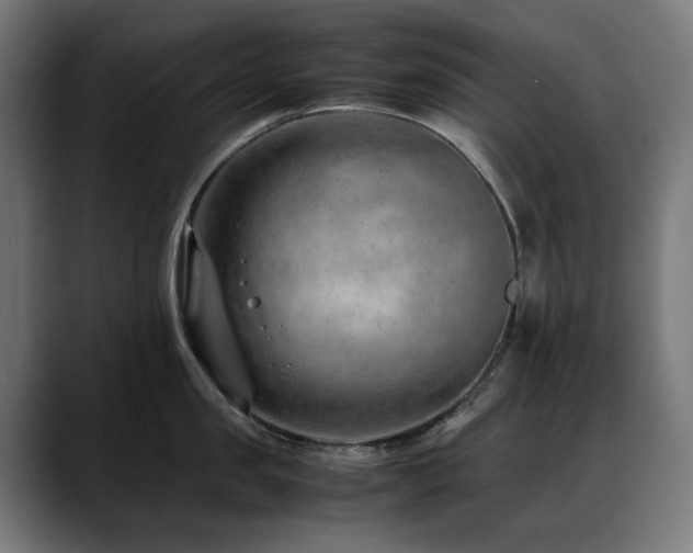 X0000088660957200705251520