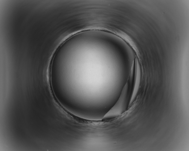 X0000088660958200705251520