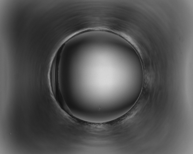 X0000088660959200705251520