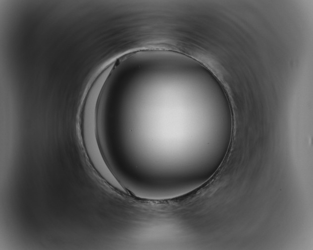 X0000088660960200705251520