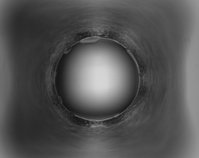 X0000088660961200705251519