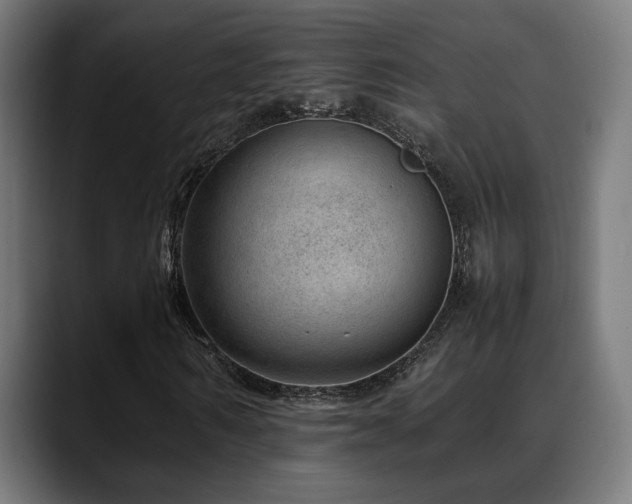 X0000088660962200705251519