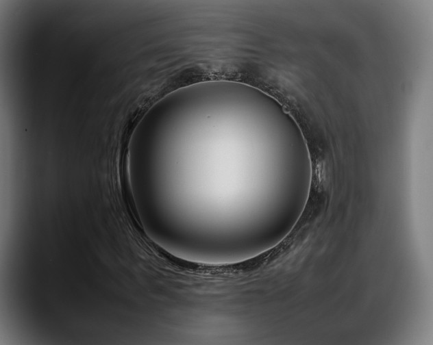 X0000088660963200705251519