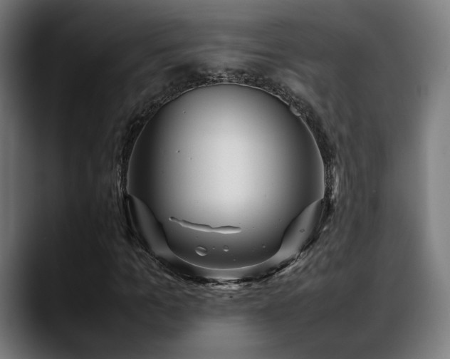 X0000088660965200705251519