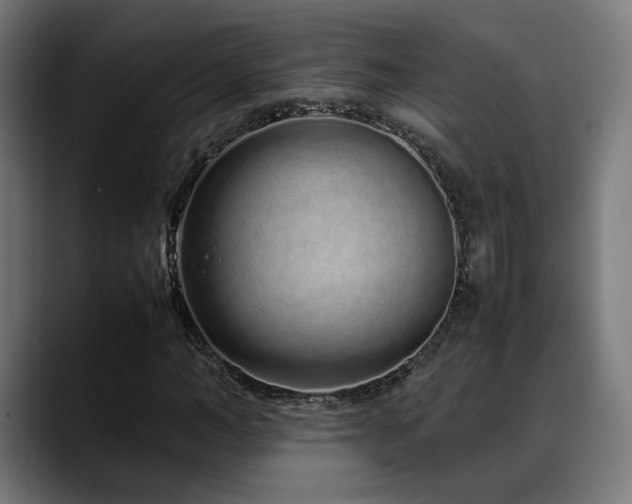 X0000088660966200705251519